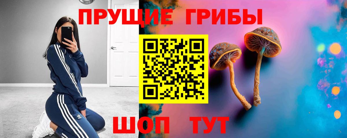 Галлюциногенные грибы Psilocybe  Псилоцибиновые грибы мицелий  Вход с VPN  Россия 